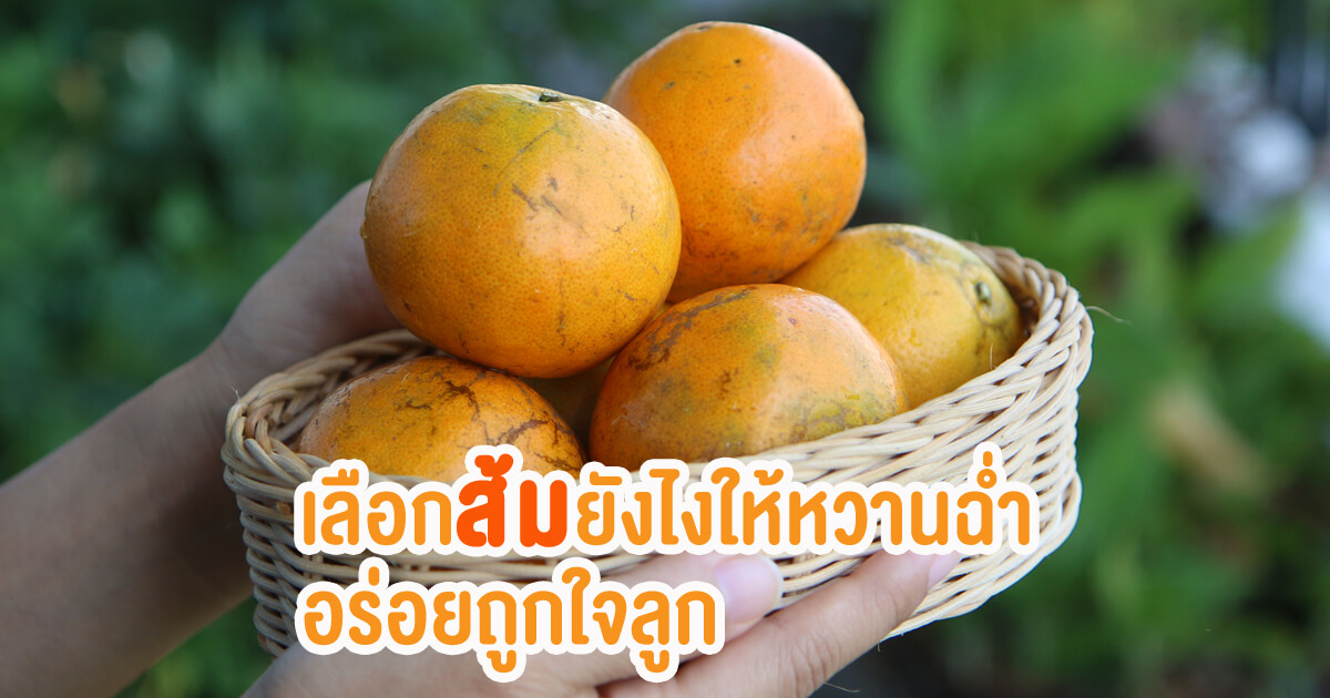 เลือกส้มยังไงให้หวานฉ่ำ, ส้มลูกหวานๆ, วิธีเลือกส้ม, ส้มเปรี้ยว