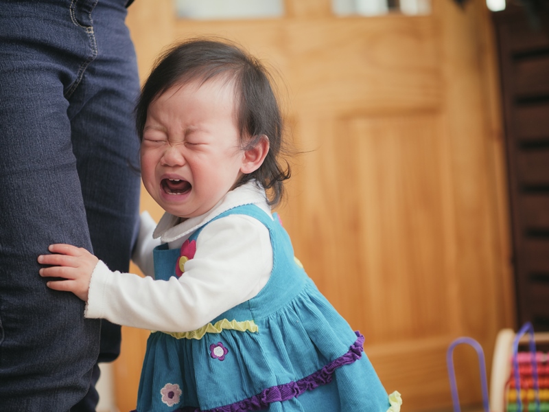 ลูกใจร้อน, ลูกชอบอาละวาด, ลูกขี้วีน, ลูกไม่ควบคุมอารมณ์ตัวเอง, ลูกไม่รู้จักความคุมอารมณ์, ลูกโมโหง่าย, EF, Executive Functions, ทักษะสมองเพื่อชีวิตที่สำเร็จ, การทำงานของสมองส่วนหน้า, ทักษะสมอง EF, พัฒนา EF, ฝึก EF, EF คืออะไร, อีเอฟคืออะไร, ปรับพฤติกรรมลูก, ลูกก้าวร้าว, ลูกเอาแต่ใจ, ลูกดื้อ, ลูกไม่มีความอดทน, ลูกขี้เกียจ, ลูกความจำไม่ดี, ลูกชอบเถียง, ลูกอาละวาด, ลูกอารมณ์ร้าย, ลูกอ่อนไหว, ลูกปรับตัวไม่เป็น, ลูกปรับตัวไม่เก่ง, ลูกขี้อาย, ลูกไม่มีความยับยั้งชั่งใจ, ลูกไม่มีระเบียบ, ลูกไม่มีวินัย, Working memory, ความจำเพื่อใช้งาน, Inhibitory Control, การยั้งคิด ไตร่ตรอง, Shift, Cognitive Flexibility, การยืดหยุ่นความคิด,Focus, Attention, จดจ่อใส่ใจ, Emotional Control, การควบคุมอารมณ์, Planning,Organizing, การวางแผน, การจัดระบบดำเนินการ, Self-Monitoring, การรู้จักประเมินตนเอง,Initiating, การริเริ่มและลงมือทำ, Goal-Directed Persistence, ความพากเพียร, มุ่งสู่เป้าหมาย, เลี้ยงลูกให้เก่ง, เลี้ยงลูกให้เอาตัวรอด, เลี้ยงลูกให้ดี, เลี้ยงลูกให้ฉลาด, เลี้ยงลูกให้เป็นคนดี, เลี้ยงลูกให้ดูแลตัวเองได้, เลี้ยงลูกให้มีความสุข