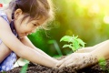 ค่ายเด็กกล้า 4.0 ฝึกลูกใช้ชีวิตพอเพียงอยู่กับธรรมชาติ