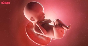 ลูกในท้องตัวยาวแค่ไหนแล้ว แม่ท้องเช็กขนาดตัวลูกในท้องได้ตรงนี้เลย