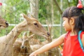 7 สวนสัตว์ ธรรมชาติแห่งการเรียนรู้ ปลูกฝังให้เด็กรักธรรมชาติ