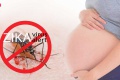 ระวัง 'ไวรัสซิกา' ที่มากับยุง อันตรายต่อทารกในครรภ์