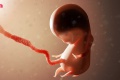 (คลิป) พัฒนาการทารกในครรภ์ 40 สัปดาห์ ลูกในท้องโตยังไง มาส่อ ...