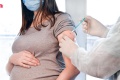คนท้องฉีดวัคซีนโควิดได้ไหม วัคซีนโควิดแบบไหนปลอดภัยกับแม่และ ...