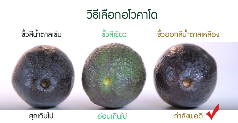 อะโวคาโด-อโวคาโด-วิธีเลือกอะโวคาโด-Avocado-ให้ลูกกินอะโวคาโด-อาหารเสริม-ผลไม้สำหรับเด็ก-เมนูอะโวคาโด