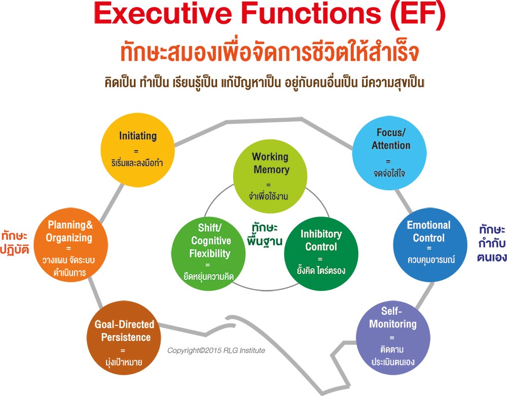 เลี้ยงลูกด้วยนมแม่ สร้าง EF, เลี้ยงลูกด้วย EF, นมแม่ สร้าง EF, EF สำหรับเด็ก, ทารก EF, ลูกเล็ก EF, ทักษะสมอง EF, EF สร้างได้ตั้งแต่ทารกแรกเกิด, EF คืออะไร, Executive Functions, ฮอร์โมนออกซิโตซิน, ฮอร์โมนโปรแลคติน