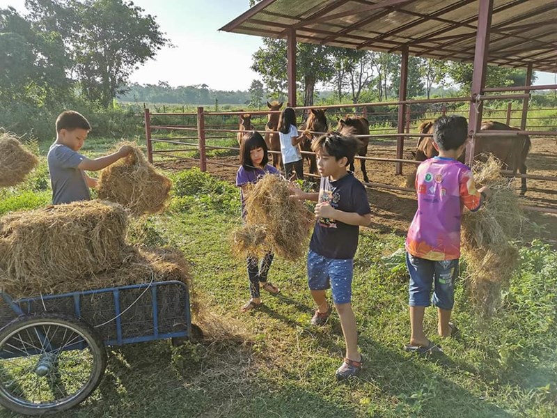 แหล่งเรียนรู้สำหรับเด็ก-ค่ายเสริมพัฒนาการ-กิจกรรมสำหรับเด็ก-ค่าย-โครงการค่ายเด็กกล้า-เศรษฐกิจพอเพียง