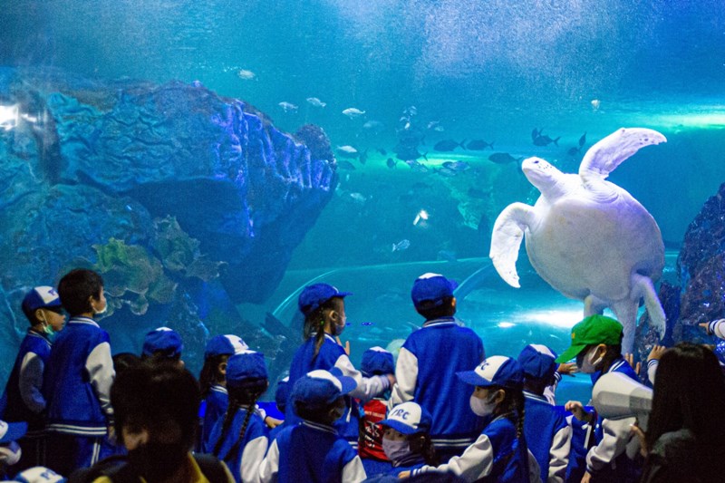 แหล่งเรียนรู้สำหรับเด็ก-ที่เที่ยวสำหรับเด็ก- พิพิธภัณฑ์-พิพิธภัณฑ์สัตว์น้ำ-Aquarium-Sea Life