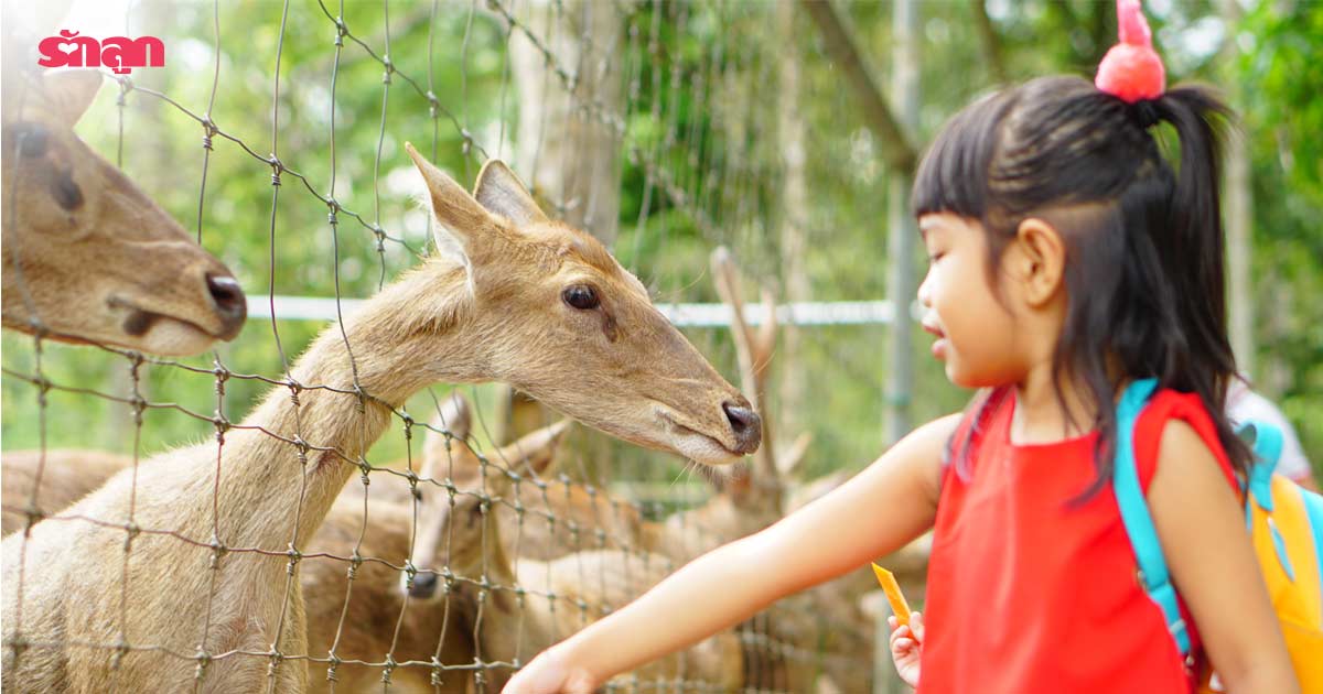 ที่เที่ยวสำหรับเด็ก-แหล่งเรียนรู้สำหรับเด็ก-สถานที่ท่องเที่ยว-สวนสัตว์-สวนสัตว์เปิด-ซาฟารี-พาลูกเที่ยว
