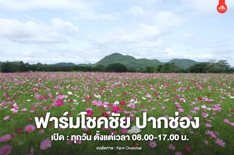 สถานที่ท่องเที่ยว-แหล่งเรียนรู้สำหรับเด็ก-สวนดอกไม้-ทุ่งดอกไม้-ที่เที่ยวหน้าหนาว-ที่เที่ยวสำหรับเด็ก