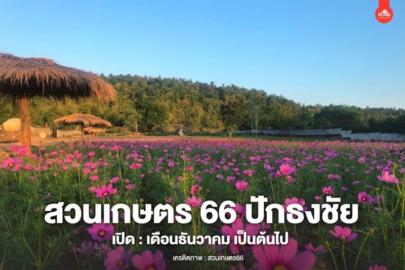 สถานที่ท่องเที่ยว-แหล่งเรียนรู้สำหรับเด็ก-สวนดอกไม้-ทุ่งดอกไม้-ที่เที่ยวหน้าหนาว-ที่เที่ยวสำหรับเด็ก