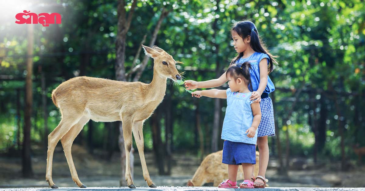 การเลี้ยงลูก- สวนสัตว์-ฉีดวัคซีน- ปฐมพยาบาล- พาลูกไปสวนสัตว์- เด็ก- แม่และเด็ก