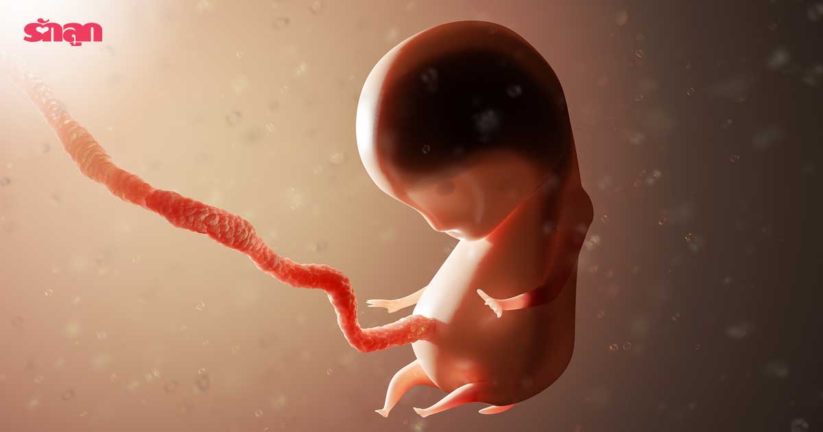 ลูกในท้องไม่โต-รู้ได้ยังว่าลูกในท้องโต-รู้ได้ยังไงว่าลูกในท้องไม่โต-ลูกในท้องตัวเล็ก-ลูกในท้องโตไหม-อัลตราซาวนด์ลูก-ทารกในครรภ์ตัวเล็ก