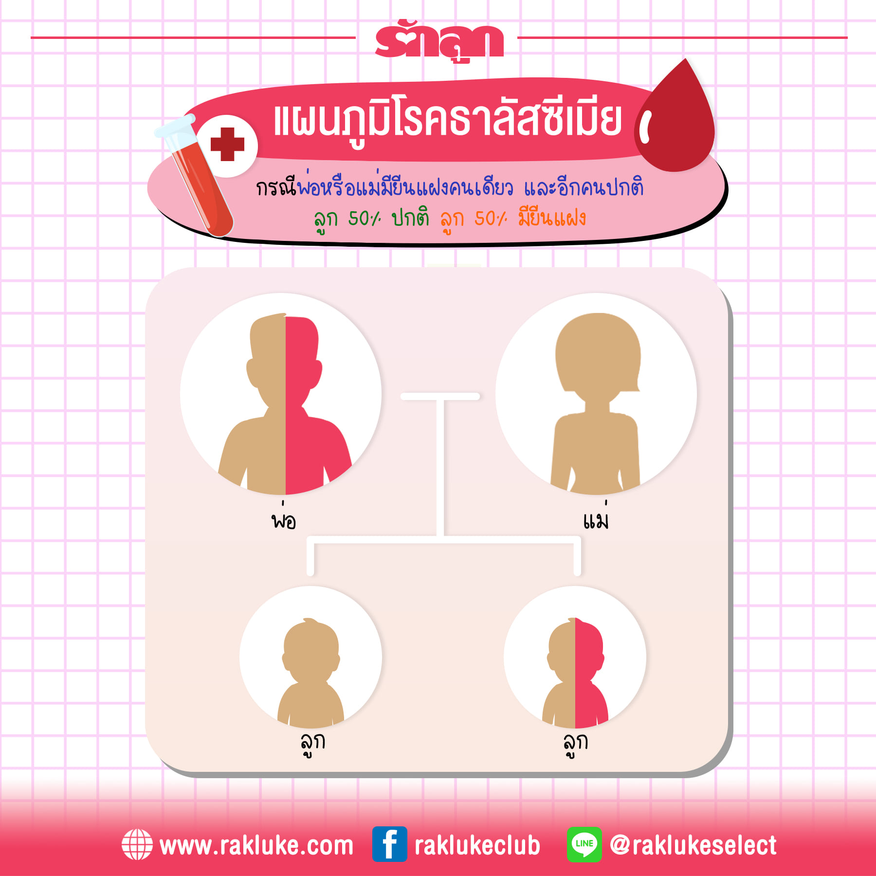 ธาลัสซีเมีย, พาหะธาลัสซีเมีย, พ่อแม่เป็นธาลัสซีเมียลูกจะเป็นไหม, โรคเลือดธาลัสซีเมีย, พาหะ ธา ลั ส ซี เมีย มี ลูก ได้ ไหม, ธาลัสซีเมีย คนท้อง, ธาลัสซีเมีย หญิงตั้งครรภ์, พ่อแม่เป็นพาหะธาลัสซีเมีย, แม่เป็นธาลัสซีเมีย, แม่เป็นพาหะธารัสซีเมีย, ธาลัสซีเมีย มีกี่แบบ กี่ประเภท, ธาลัสซีเมียแฝง, ธาลัสซีเมียอันตรายไหม, แผนภูมิธาลัสซีเมีย