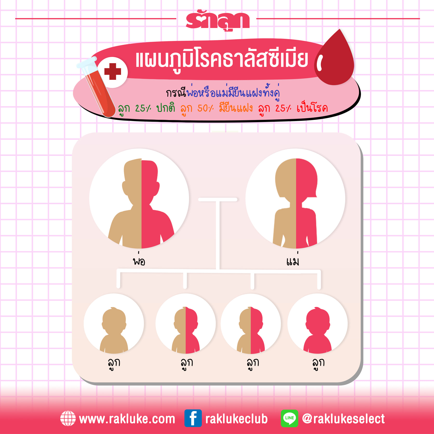 ธาลัสซีเมีย, พาหะธาลัสซีเมีย, พ่อแม่เป็นธาลัสซีเมียลูกจะเป็นไหม, โรคเลือดธาลัสซีเมีย, พาหะ ธา ลั ส ซี เมีย มี ลูก ได้ ไหม, ธาลัสซีเมีย คนท้อง, ธาลัสซีเมีย หญิงตั้งครรภ์, พ่อแม่เป็นพาหะธาลัสซีเมีย, แม่เป็นธาลัสซีเมีย, แม่เป็นพาหะธารัสซีเมีย, ธาลัสซีเมีย มีกี่แบบ กี่ประเภท, ธาลัสซีเมียแฝง, ธาลัสซีเมียอันตรายไหม, แผนภูมิธาลัสซีเมีย