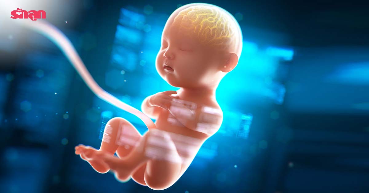 พัฒนาการสมองทารกในครรภ์