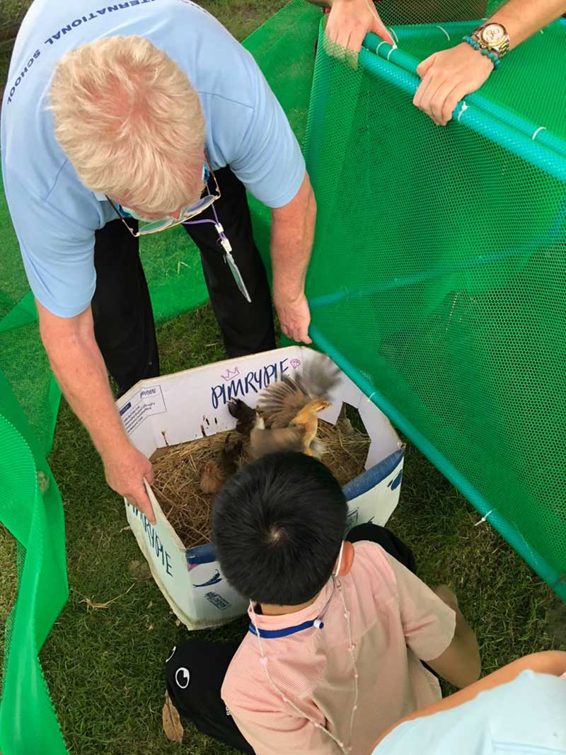 Phenomenon Based Learning, เรียนรู้ผ่านการลงมือ, โครงงานเรียนรู้ของลูก, Thai International School, แนะนำโรงเรียนนานาชาติ, โรงเรียนนานาชาติไทยอินเตอร์เนชั่นนอล, หลักสูตรฟินแลนด์, การเรียนหลักสูตรฟินแลนด์, Critical Thinking, Collaboration, Creativity, นานาชาติหลักสูตรฟินแลนด์, โรงเรียนนานาชาติ ปทุมธานี