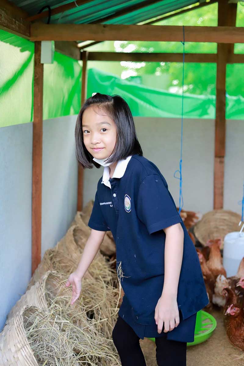 Phenomenon Based Learning, เรียนรู้ผ่านการลงมือ, โครงงานเรียนรู้ของลูก, Thai International School, แนะนำโรงเรียนนานาชาติ, โรงเรียนนานาชาติไทยอินเตอร์เนชั่นนอล, หลักสูตรฟินแลนด์, การเรียนหลักสูตรฟินแลนด์, Critical Thinking, Collaboration, Creativity, นานาชาติหลักสูตรฟินแลนด์, โรงเรียนนานาชาติ ปทุมธานี