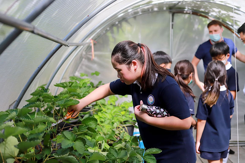 Phenomenon Based Learning, เรียนรู้ผ่านการลงมือ, โครงงานเรียนรู้ของลูก, Thai International School, แนะนำโรงเรียนนานาชาติ, โรงเรียนนานาชาติไทยอินเตอร์เนชั่นนอล, หลักสูตรฟินแลนด์, การเรียนหลักสูตรฟินแลนด์, Critical Thinking, Collaboration, Creativity, นานาชาติหลักสูตรฟินแลนด์, โรงเรียนนานาชาติ ปทุมธานี