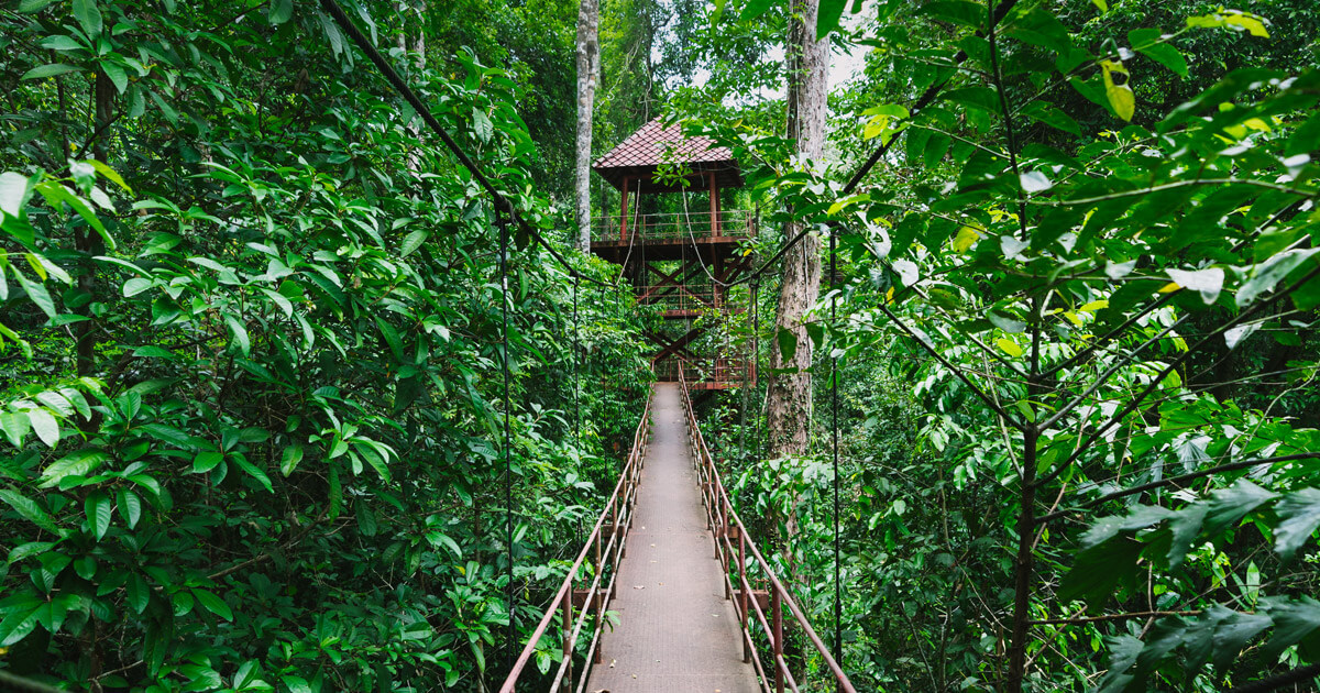 สวนพฤกษศาสตร์-ที่เที่ยวสำหรับครอบครัว-พาลูกเที่ยวสวน-พาลูกเที่ยวไหนดี-พาลูกเที่ยวที่ไหนดี-พาลูกเที่ยว-สวนพฤกษศาสตร์สมเด็จพระนางเจ้าสิริกิติ์-สวนพฤกษศาสตร์ระยอง-สวนพฤกษศาสตร์ภาคกลาง (พุแค)-สวนพฤกษศาสตร์ภาคใต้ (ทุ่งค่าย)-สวนหลวง ร.9-สวนพฤกษศาสตร์ทวีชล-สวนนงนุช