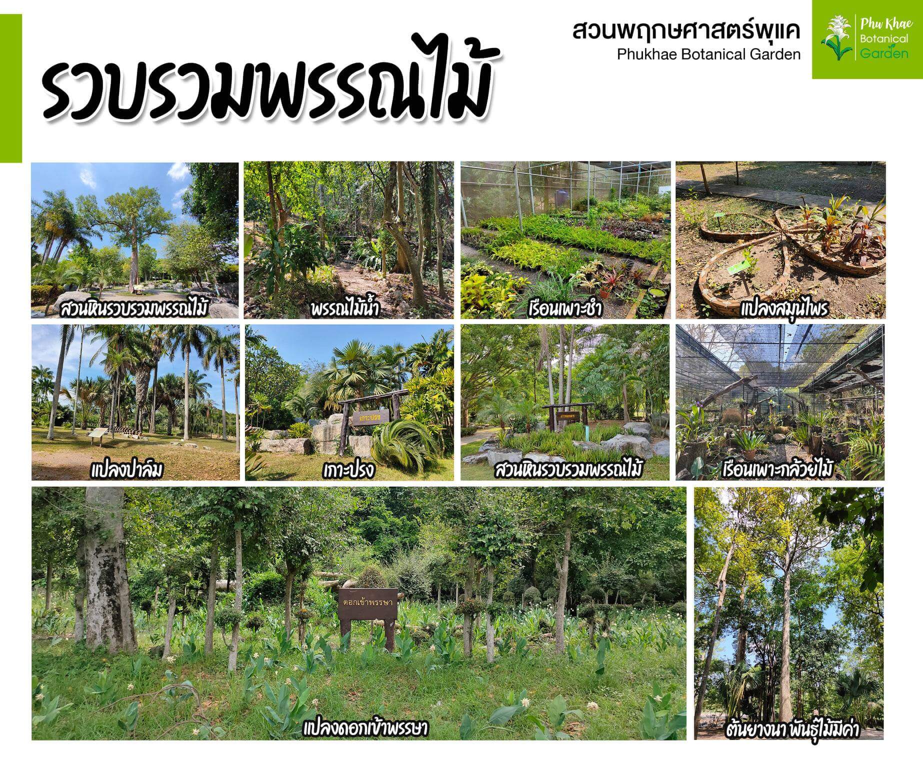 สวนพฤกษศาสตร์-ที่เที่ยวสำหรับครอบครัว-พาลูกเที่ยวสวน-พาลูกเที่ยวไหนดี-พาลูกเที่ยวที่ไหนดี-พาลูกเที่ยว-สวนพฤกษศาสตร์สมเด็จพระนางเจ้าสิริกิติ์-สวนพฤกษศาสตร์ระยอง-สวนพฤกษศาสตร์ภาคกลาง (พุแค)-สวนพฤกษศาสตร์ภาคใต้ (ทุ่งค่าย)-สวนหลวง ร.9-สวนพฤกษศาสตร์ทวีชล-สวนนงนุช