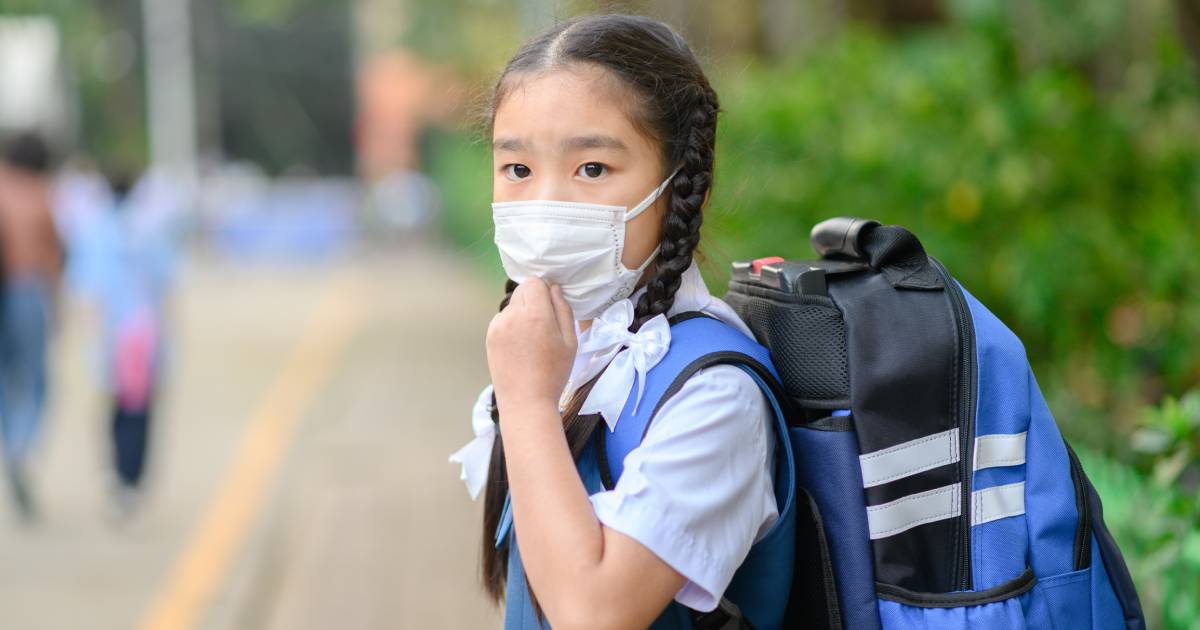 ฝุ่น PM 2.5 อันตราย เด็ก, ฝุ่น PM 2.5 แม่ท้อง, ฝุ่น PM 2.5 สมองเด็ก, ฝุ่น PM 2.5 โรคระบบทางเดินหายใจ หอบหืด, ประกาศปิดโรงเรียน ฝุ่น PM 2.5, รายชื่อโรงเรียนปิด ฝุ่น PM 2.5, ค่ามาตรฐาน ฝุ่น PM 2.5