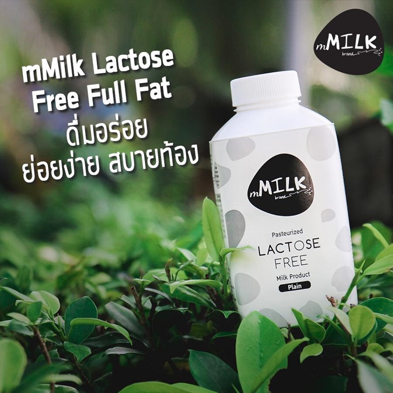 Lactose Free-นมแลคโตสฟรี-นมวัวแลคโตสฟรี-นม-แลคโตสฟรี-นม Lactose Free-แพ้นมวัว-นมวัว-อาการแพ้นมวัว-ท้องอืด-ท้องเฟ้อ-ท้องเสีย-ดื่มนมวัวไม่ได้-นมที่กินแล้วไม่ท้องอืด-แลคโตส-แลคโตสฟรี คืออะไร-ท้องอืด ท้องเฟ้อ-ท้องเฟ้อ-อาการ ท้องอืด ท้องเฟ้อ-ท้องเฟ้อ คือ-ท้องเฟ้อ อาการ-อาการ ท้องเฟ้อ-แก้ ท้องอืด ท้องเฟ้อ-แก้ ท้องอืด ท้องเฟ้อ-ทารก ท้องอืด-แน่นท้อง-ท้องอืด บ่อย-ท้องอืด อาการ-ท้องอืด แน่นท้อง ท้อง-ท้องอืด เกิด จาก-ลูก ท้องอืด-อาการ แน่นท้อง-ท้องอืด pantip-ลูก 1 ขวบ ท้องอืด-ทอง อืด-ท้องอืด แน่นท้อง ท้อง แข็ง-ท้องอืด บ่อยๆ