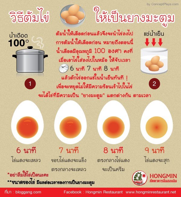 10 เมนูไข่ต้ม ,เมนูไข่ต้ม,เมนูไข่,อาหารจานไข่,สูตรอาหาร,สูตรไข่ต้ม,สูตรไข่ตุ๋น,เมนูเด็ก,อาหารเด็ก,เมนูอาหารเด็ก,ไข่เจียว,ไข่ลวก,ไข่ทอด,ไข่ดาว,ไข่อบ,ไข่เบคอน,ไข่พระอาทิตย์,ไข่น้ำ