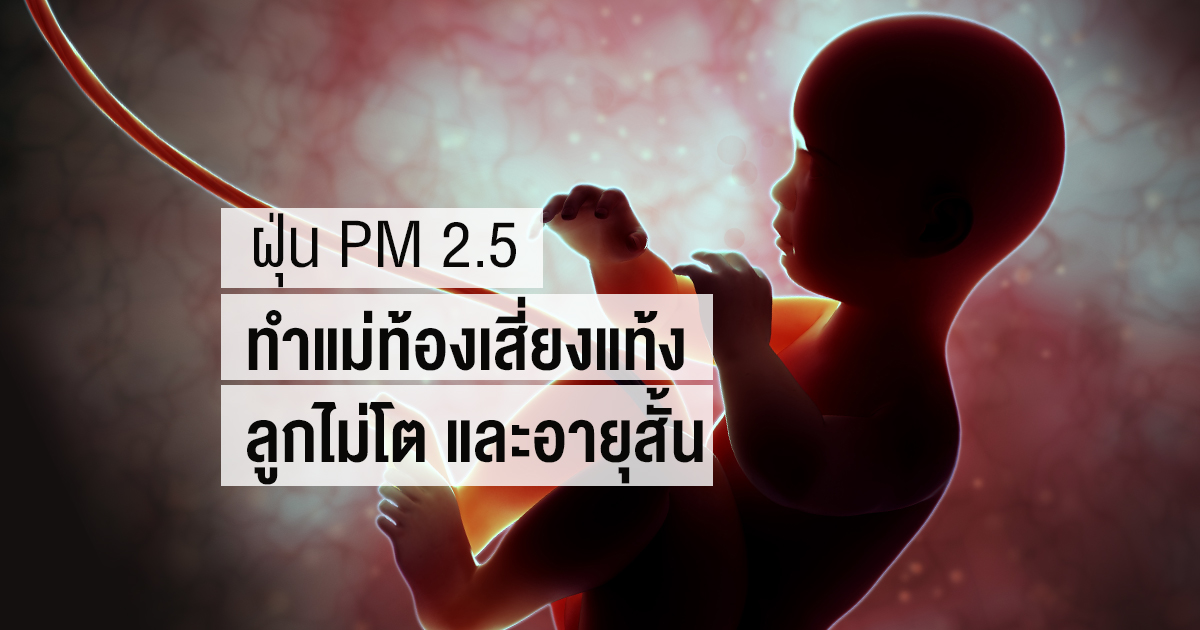 หน้ากาก N95, ฝุ่น, ฝุ่นพิษ, แม่ท้อง, ฝุ่น PM 2.5, PM 2.5, คลอดก่อนกำหนด, สมองพิการ