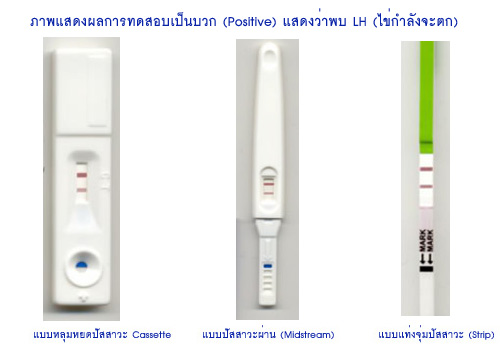 หาเวลาไข่ตก, หาวันไข่ตก, นับวันตกไข่, นับวันไข่ตก, ทดสอบไข่ตก, อุปกรณ์ตรวจวันตกไข่, ไข่สุกพร้อมผสมพันธุ์, ไข่สุกพร้อมปฏิสนธิ, นับรอบเดือน, นับรอบประจำเดือน, วัดอุณหภูมิหาไข่ตก, BBT, วัดอุณหภูมิ, อยากมีลูก, อยากท้อง, แม่ท้อง, ตั้งท้อง,ตั้งครรภ์, เตรียมตัวก่อนตั้งครรภ์