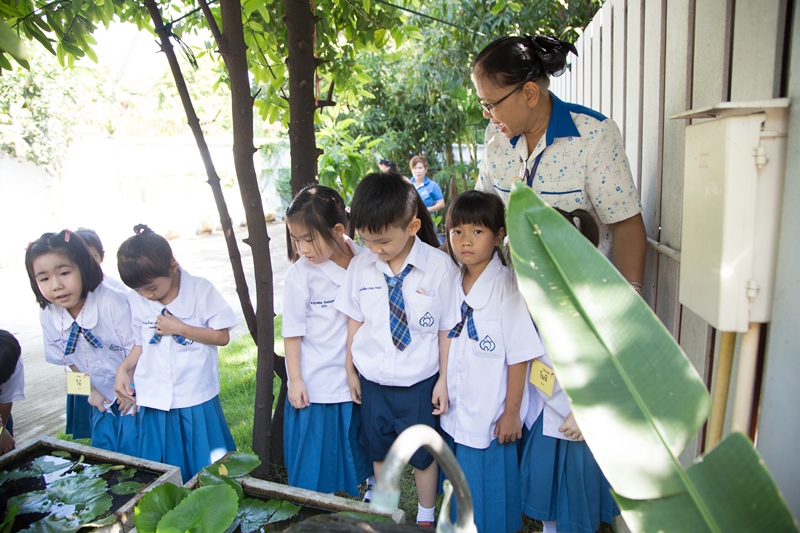 เเนะนำโรงเรียน, โรงเรียน, โรงเรียนอนุบาล, อนุบาลแสงโสม, โรงเรียนแสงโสม, โรงเรียนอนุบาลแสงโสม