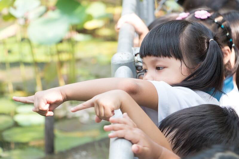 โรงเรียนอนุบาล, อนุบาลแสงโสม, โรงเรียนแสงโสม, โรงเรียนอนุบาลแสงโสม