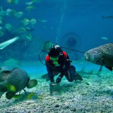 พาลูกเที่ยว เปิดประสบการณ์ &quot;โลกใต้น้ำบางแสน&quot; Image 6