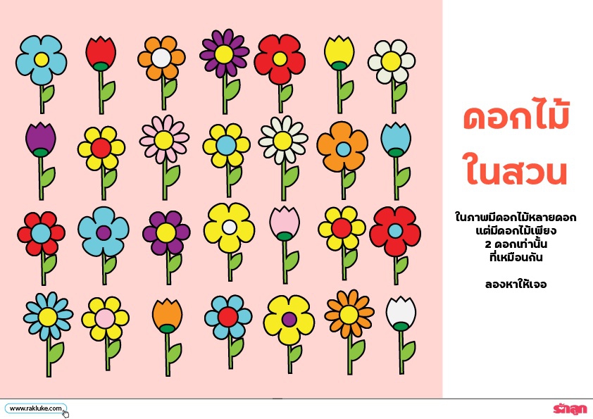 ดาวน์โหลด Learning Sheet : ดอกไม้ในสวน Image 1