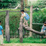 รักลูกพาลูกสำรวจ โรงเรียนไตรพัฒน์ การศึกษาแนววอลดอร์ฟ ที่ช่ว ... Image 3